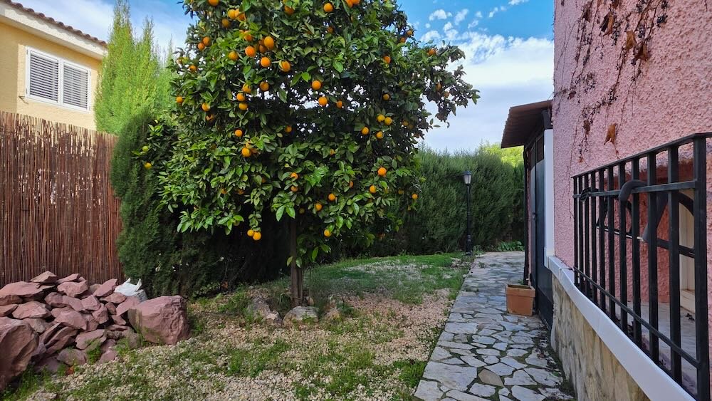 Property 2458 - Image 8